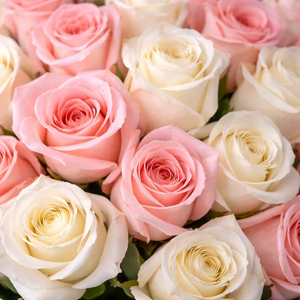 Амур – букет из высоких кремовых и розовых роз (70 см)